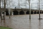 AMTK 645 on train 195 over a swollen Delaware River.